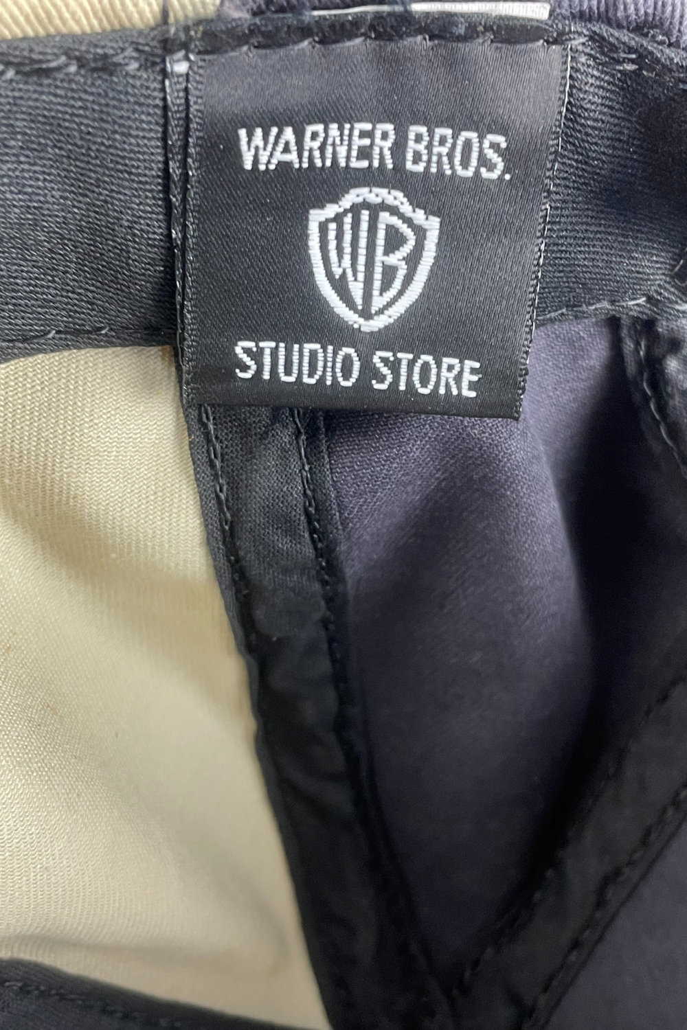 1994 Warner Bros Studio Store “TAZ” Snapback (USA-made)